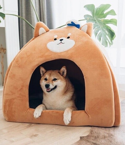 Jiro Pet House